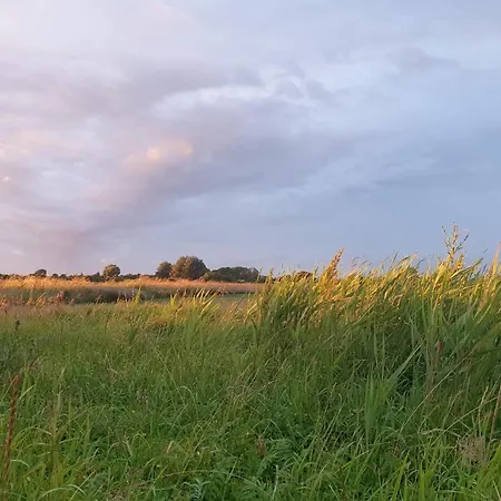 Seaside Sanctuary With Whirlpool-by Traum Nedre Lysabild
