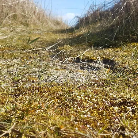 Seaside Sanctuary With Whirlpool-by Traum * Nedre Lysabild