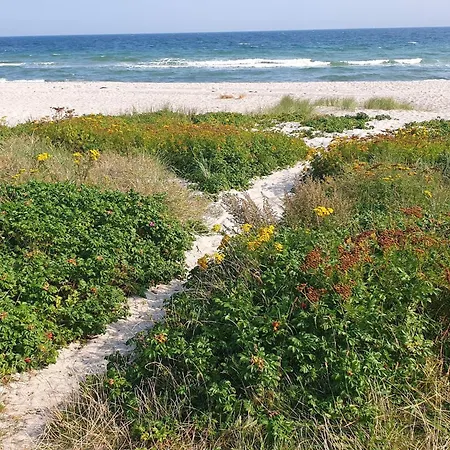 Seaside Sanctuary With Whirlpool-by Traum Hébergement de vacances Nedre Lysabild